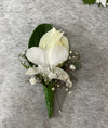 ROSE  BUTTONHOLE